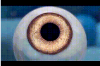 111.png